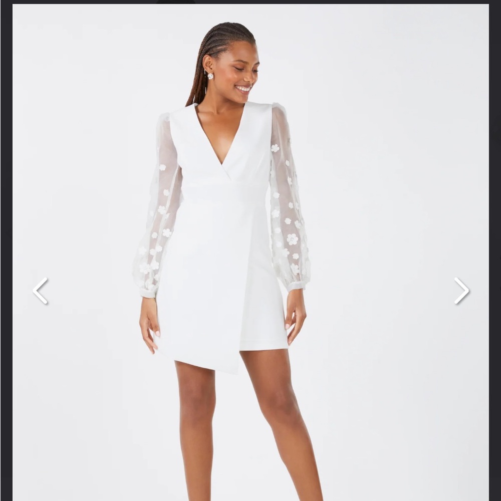 BCBG Emery Organza Sleeve Dress with 3D florals on the sleeve